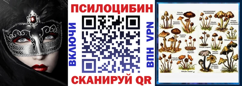 Галлюциногенные грибы GOLDEN TEACHER  Курильск 